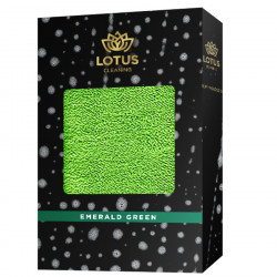 Lotus Deluxe Wash Sponge Green